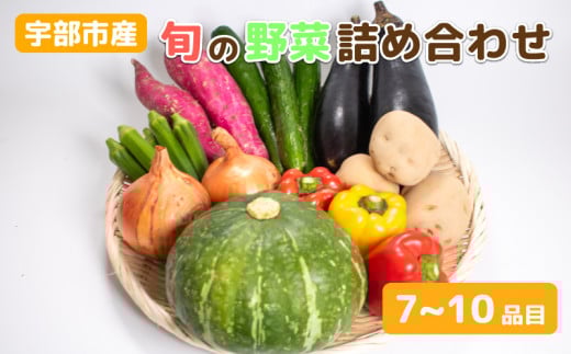 新鮮野菜の産直 <楠こもれびの郷「楠四季菜市」>【新鮮野菜 宇部市産 季節野菜 詰合せ 直送 野菜セット 旬の野菜 地元産 新鮮食品 野菜ボックス】