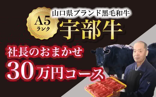 【山口宇部牛】社長おまかせ<30万円コース>黒毛和牛A5ランク宇部牛【山口宇部牛 社長おまかせ 30万円コース 黒毛和牛 A5ランク 宇部の特産品 ストレスフリー育成 オレイン酸含有量 上質な肉質 県外の有名デパート 関東の銘店 関西の銘店 高級肉 特選肉 宇部市産 肉のプレゼント 飲食店の指名品 安心安全な肉 高級食材 地元の誇り】
