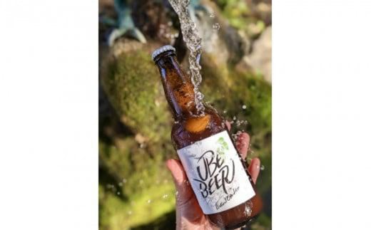 （定期購入便）自慢 クラフトビール 宇部ビール 330ml × 6本×6回 【山口県 宇部市 水 自家 栽培 フレッシュホップ 華やかな ホップ 香り すっきり 苦味 食事 宇部ビール 地ビール 瓶ビール 詰め合わせ  お酒 缶ビール ビール  BBQ 宅飲み 家飲み 晩酌 プレゼント ギフト 贈り物 内祝 結婚祝い お祝い お誕生日 御歳暮 御中元 父の日 母の日 】