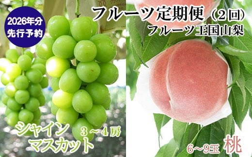【2026年発送分 先行予約】【フルーツ王国やまなしのフルーツ定期便】 小林農園のシャインマスカット（３～４房 ２kg前後）＆桃（６～９玉 ３kg前後）定期便（２回）　シャイン シャインマスカット ぶどう ブドウ 葡萄 桃 もも 果物 くだもの フルーツ 定期便 食べ比べ 山梨 やまなし