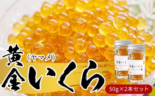 【幻の珍味】「黄金いくら」2本セット(ヤマメの卵醤油漬け) いくら イクラ 魚卵 小分け 数量限定 旬 人気 贈答 美味しい ヤマメ 鱒 冷凍 お取り寄せ