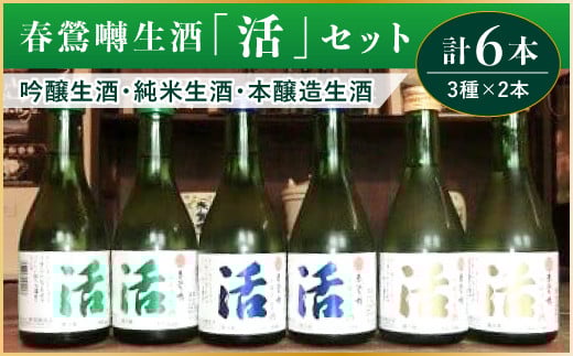 春鶯囀生酒蔵元直送「活」セット　300ml×6本セット （吟醸生酒2本/純米生酒2本/本醸造生酒2本） 吟醸生酒 純米生酒 本醸造生酒 ギフト 贈答 日本酒 お酒 地酒 清酒 銘酒 春鶯轉 富士川町 山梨 やまなし
