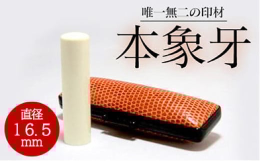 高級本象牙印鑑　16.5㎜×60.0㎜　ハンコ 判子 はんこ 印鑑 本象牙 印鑑 プレゼント ギフト 贈答 ケース付