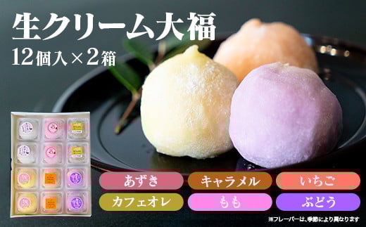 とろける食感!生クリーム大福24個セット (6種類×2×2箱)詰め合わせ  スイーツ お取り寄せ お土産 おもたせ プレゼント【全国菓子博・百貨店協会長賞受賞】