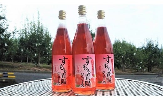 自家生産果実のみ使用！すもも貴陽ジュース6本セット　すもも スモモ 李 果物 くだもの フルーツ ドリンク 飲み物 濃厚 山梨 やまなし 富士川町 果汁入り