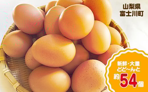 【14日以内発送】初たまご プレミアムひまわりたまご54個程度※破卵補償  卵 たまご 鶏卵 玉子 大容量 たまごかけご飯 たまごかけごはん 最短 濃厚