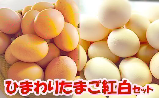農林水産大臣賞受賞！ひまわりたまご 紅白セット（40〜45個）※破卵補償10個含（冷蔵） 卵 鶏卵 玉子 最短
