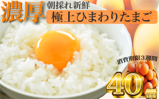 B1807極上ひまわりたまご（40個程度）※破卵補償10個含 卵 鶏卵 玉子