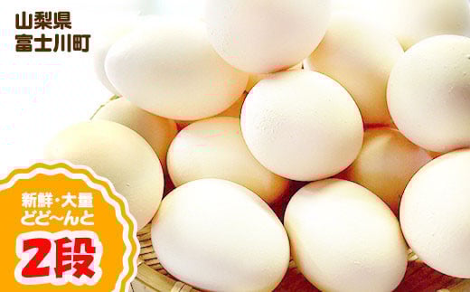 B1808濃厚な味わい！ひまわりたまご（２段）※破卵補償10個含 卵 鶏卵 玉子