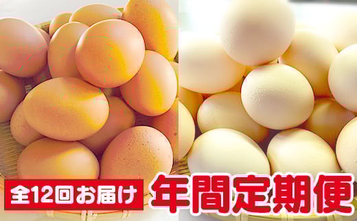 【12ヶ月定期便】ひまわりたまご紅白セットM〜Lサイズ（計40〜45個）×12か月 年間セット※破卵補償 卵 鶏卵 玉子 年間12回 大容量