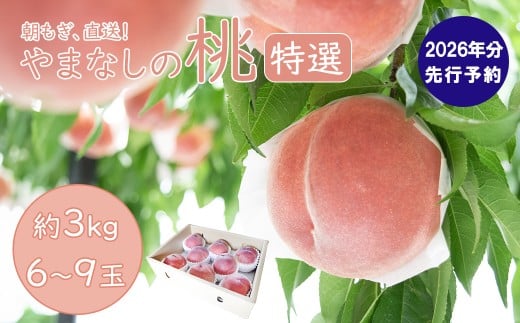 【2026年発送分 先行予約】【朝採れももを直送！】【特選】フルーツ王国やまなし 小林農園の桃（6〜9個入り/3kg前後）桃 モモ もも ピーチ 3kg フルーツ 果物 山梨 富士川町 大玉 甘い 夢みずき 浅間白桃 なつっこ 川中島白桃 一宮水蜜 白秋 先行予約