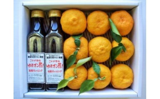 【2025年発送分】特選ゆずポン酢2本とゆず中玉7～9個セット　ゆず 柚子 ユズ 柚 生ユズ 生ゆず