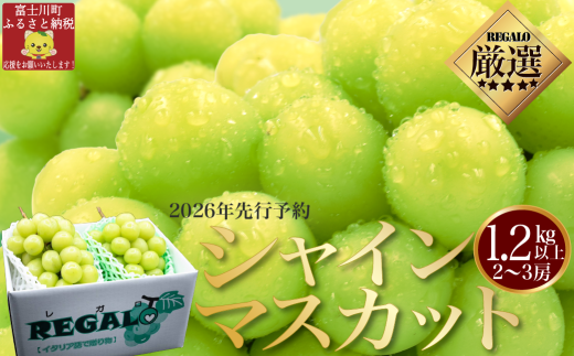 【2026年発送分 先行予約】頬張る幸福感　～緑の宝石・シャインマスカット～　１．２ｋｇ以上（２～３房） フルーツ 山梨県産 果物 シャイン マスカット ぶどう ブドウ 大粒 種なし 種無し 先行予約 富士川町