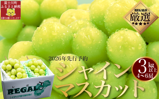 【2026年発送分 先行予約】頬張る幸福感　～緑の宝石・シャインマスカット～　３ｋｇ以上（４～６房） フルーツ 山梨県産 果物 シャイン マスカット ぶどう ブドウ 大粒 種なし 種無し 先行予約 富士川町