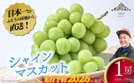 【2026年発送分 先行予約】【お試しサイズ】シャインマスカット 1房 フルーツ 山梨県産 果物 シャイン マスカット ぶどう ブドウ 大粒 種なし