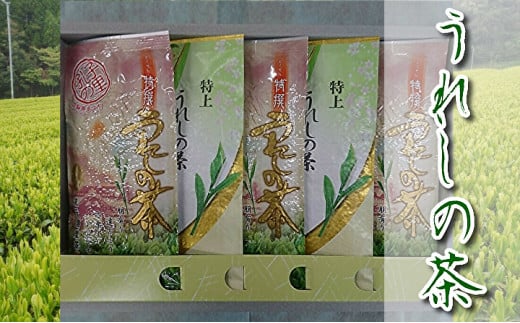 嬉野茶 うれしの茶 緑茶 特上 特撰 5本セット | 嬉野茶 うれしの茶 緑茶 人気 特上 特撰 セット 自家製 孔子園製茶 _c-53