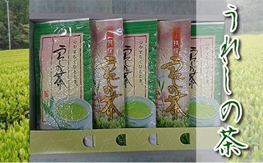 嬉野茶 うれしの茶 緑茶 特撰 孔子 セット | 嬉野茶 うれしの茶 緑茶 人気 特撰 孔子 セット _b-164