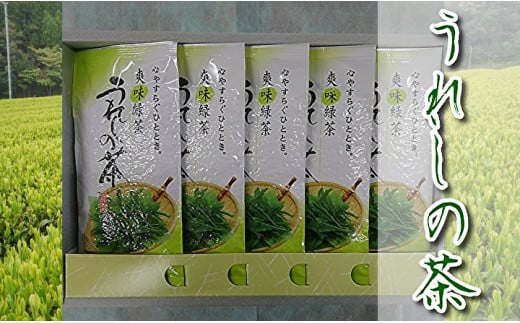 嬉野茶 うれしの茶 緑茶 上撰 セット | 嬉野茶 うれしの茶 緑茶 人気 上撰 セット 自家製 孔子園製茶 _z-54