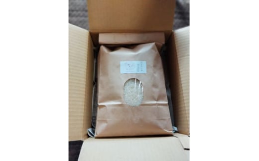 はざかけ米(ゆうだい21)玄米5キロ＜栽培期間中農薬・化学肥料不使用＞【1465247】