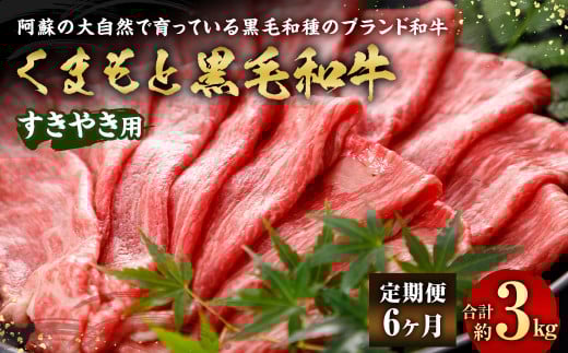 【6ヶ月定期便】くまもと黒毛和牛 すきやき用 500g 牛肉 黒毛和牛 和牛 お肉 すき焼き すきやき ブランド牛 スライス 熊本県