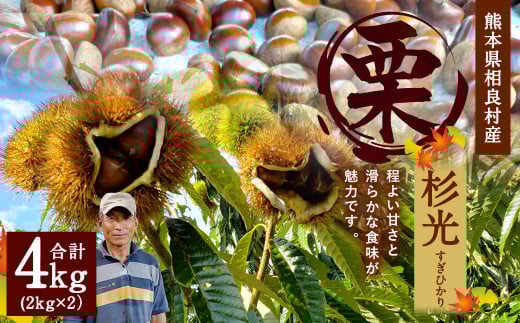相良村産 栗 杉光 4kg 熊本県産 くり クリ [2025年9月上旬発送予定]