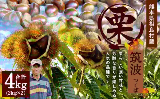 栗 筑波 4kg [2025年9月下旬発送開始] くり クリ 熊本県産