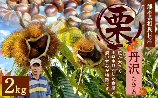 相良村産 栗 丹沢 2kg 熊本県産 くり クリ [2025年8月下旬発送予定]