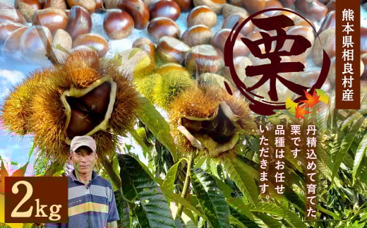 熊本県 相良村産 栗(品種おまかせ) 2kg×1袋 くり クリ [2025年8月下旬発送開始]