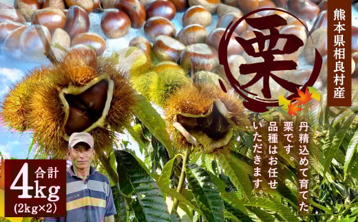 熊本県 相良村産 栗(品種おまかせ) 合計4kg 2kg×2袋 くり クリ [2025年8月下旬発送開始]