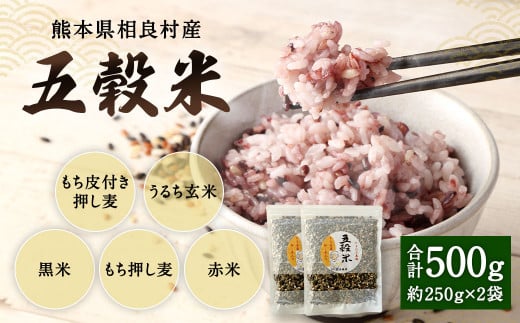 【先行受付】熊本県相良村産 ヘルシー五穀米 250g×2  計500g 【2025年11月上旬より発送開始】