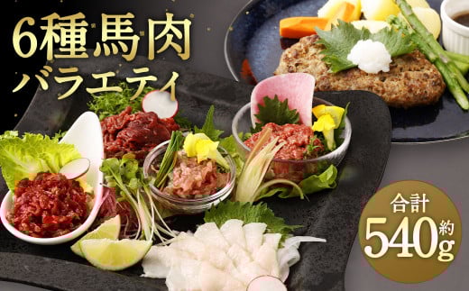 馬肉 バラエティ 計540g 6種 タレ付き 馬刺 馬刺し 赤身 コウネ フタエゴ ユッケ トロ ハンバーグ 馬 肉 切落し スライス