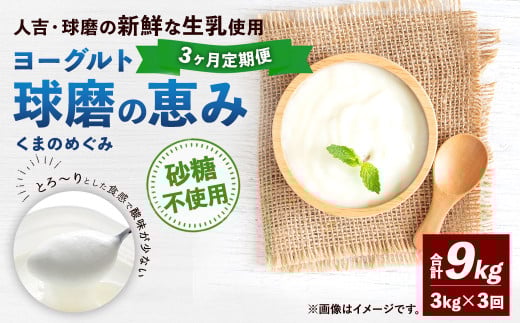 【3ヶ月定期便】 球磨の恵み ヨーグルト (砂糖不使用) 合計 9kg (1kg×3パック)×3回 乳製品 生乳 朝食 おやつ 相良村
