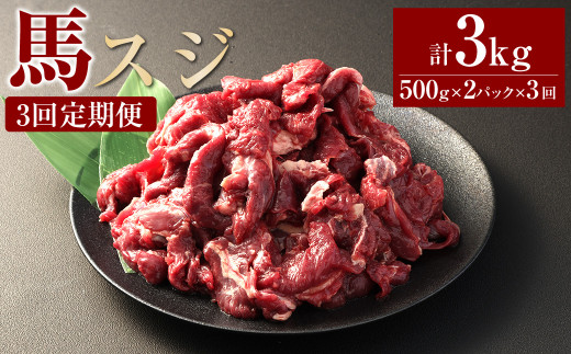 【3ヶ月定期便】 馬スジ1kg(500g×2パック) 合計3kg 馬肉 お肉 煮込み