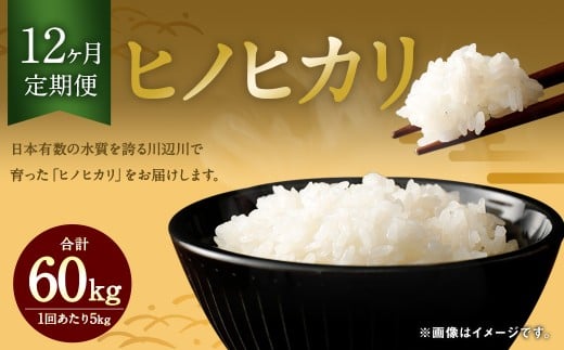 【12ヶ月定期便】相良村産 ヒノヒカリ 5kg お米 白米