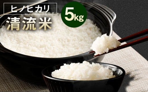 【 令和7年産 】 相良村産 清流米 （ ヒノヒカリ ） 5kg 【2025年10月下旬～2026年10月下旬迄発送予定】 お米 白米 精米