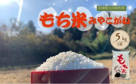 令和7年度産 宮城県大河原町産 みやこがね 5kg もち米 餅米  こめ コメ モチ もち もち米 お餅 餅