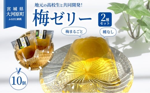 大河原の梅と清水のゼリー うめ果りり 10個入り