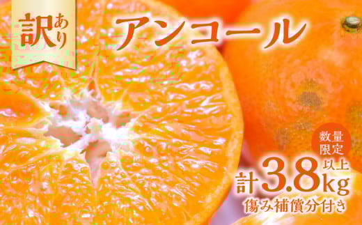 先行予約 訳あり アンコール 計3.8kg以上 傷み補償分付き 令和8年発送 期間限定 数量限定 フルーツ 果物 くだもの みかん オレンジ ジュース 柑橘 国産 食品 不揃い 傷 規格外 訳アリ 家庭用 おすそ分け おすすめ デザート おやつ 宮崎県 日南市 送料無料_AAV3-25