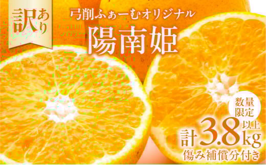先行予約 訳あり オリジナル ブランド 陽南姫 計3.8kg以上 傷み補償分付き 令和8年発送 期間限定 数量限定 フルーツ 果物 くだもの 柑橘 みかん 訳アリ 家庭用 不揃い 傷 規格外 国産 食品 デザート ジュース おやつ 希少 おすすめ 宮崎県 日南市 送料無料_AAV4-25
