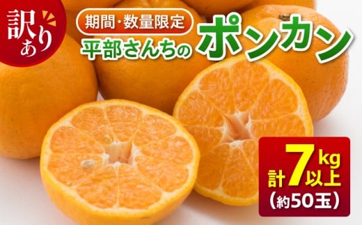 訳あり 平部さんちのポンカン 計7kg以上 先行予約 期間限定 数量限定 フルーツ 果物 くだもの 柑橘 みかん 蜜柑 わけあり 国産 食品 おやつ デザート みかんジュース フルーツサンド おすすめ ご家庭用 おすそ分け 産地直送 宮崎県 日南市 送料無料_BA60-23