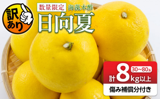 先行予約 訳あり 海藻木酢 日向夏 小夏 計8kg以上 傷み補償分付き 期間限定 数量限定 フルーツ 果物 くだもの 柑橘 みかん 訳アリ 国産 食品 デザート おやつ おすそ分け おすすめ ご家庭用 ご自宅用 B品 傷 マーマレード 産地直送 宮崎県 日南市 送料無料_BA80-24