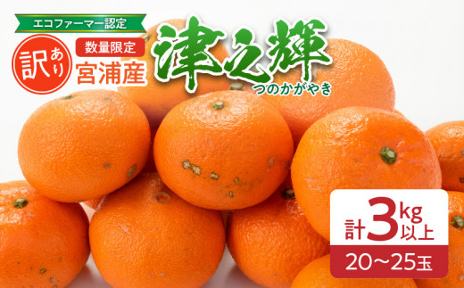 訳あり 津之輝 計3kg以上 先行予約 令和8年発送 期間限定 数量限定 国産 食品 果物 くだもの フルーツ 柑橘 みかん 不揃い S M L 混合 傷 わけあり デザート おやつ ジュース 家庭用 おすそ分け おすすめ つのかがやき 濃厚 常温 宮崎県 日南市 送料無料_BA68-23