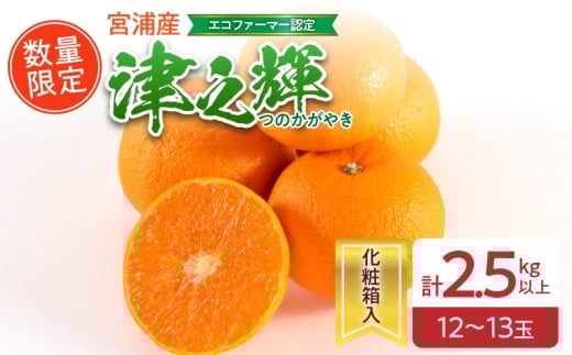 津之輝 計2.5kg以上 化粧箱入り 先行予約 令和8年発送 期間限定 数量限定 国産 食品 果物 くだもの フルーツ 柑橘 みかん 蜜柑 M L 混合 デザート おやつ ジュース おすすめ プレゼント ギフト 贈答 贈り物 つのかがやき 濃厚 常温 宮崎県 日南市 送料無料_BA69-23