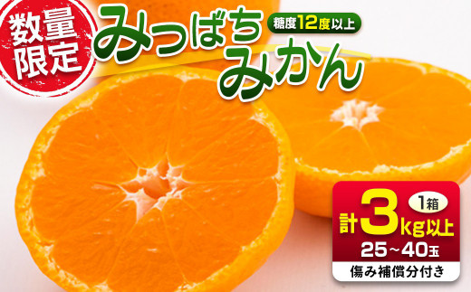 先行予約 みつばちみかん 計3kg以上 傷み補償分付き 期間限定 数量限定 果物 くだもの フルーツ 蜜柑 ミカン 柑橘 オレンジ おやつ デザート みかんジュース 飲み物 小ぶり おすすめ おすそ分け 国産 食品 産地直送 贈り物 お土産 宮崎県 日南市 送料無料_AAV9-25