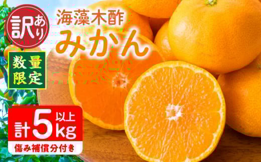 訳あり 数量限定 海藻木酢みかん 計5kg以上 傷み補償分付き フルーツ 果物 くだもの 柑橘 みかん 国産 期間限定 食品 家庭用 自宅用 B品 わけあり オレンジ デザート おやつ おすすめ おすそ分け ご褒美 お取り寄せ グルメ 産地直送 宮崎県 日南市 送料無料_A94-25
