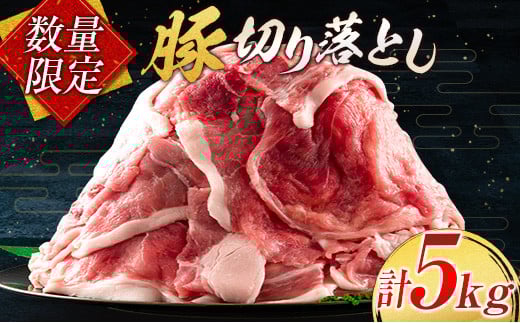 小分けで便利 数量限定 豚 切り落とし 計5kg お肉 豚肉 ポーク 国産 小分け 真空パック 個包装 万能食材 おすすめ おかず 食品 炒め物 お弁当 豚丼 豚しゃぶ しゃぶしゃぶ 焼肉 お祝い 記念日 ギフト 贈り物 贈答 プレゼント おすそ分け 宮崎県 日南市 送料無料_CD61-24