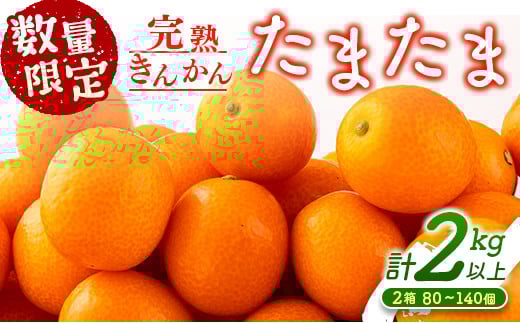 先行予約 完熟きんかん たまたま 計2kg以上 (1kg×2箱) 希少 期間限定 数量限定 フルーツ 果物 くだもの 柑橘 金柑 国産 食品 大粒 宮崎ブランド おすすめ デザート おやつ ギフト 贈り物 贈答 お返し お祝い おすそ分け 産地直送 日南市 送料無料_BC103-24
