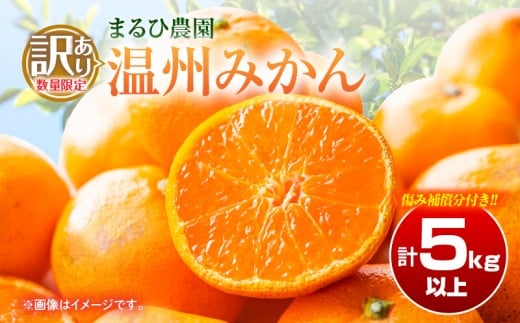 訳あり 温州 みかん 計5kg以上 傷み補償分付き まるひ農園 期間限定 数量限定 フルーツ 果物 くだもの 柑橘 ミカン 国産 食品 デザート おやつ 人気 スイーツ おすすめ ご家庭用 訳アリ ワケあり おすそ分け 新鮮 産地直送 宮崎県 日南市 送料無料_ZZV2-25
