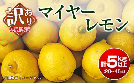 訳あり 数量限定 マイヤーレモン 計5kg以上 フルーツ 果物 柑橘 レモン 檸檬 オレンジ 人気 おすすめ おすそ分け お土産 プレゼント お取り寄せ グルメ 国産 食品 デザート スイーツ ブランド 希少 特産品 産地直送 宮崎県 日南市 送料無料_A89-23