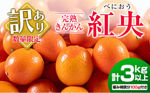 先行予約 訳あり 完熟 きんかん 紅央 計3kg以上 傷み補償分付き 数量限定 期間限定 訳アリ フルーツ 果物 くだもの 柑橘 金柑 おすすめ おすそ分け 国産 食品 デザート ブランド 希少 ご家庭用 ご自宅用 お取り寄せ 特産品 産地直送 宮崎県 日南市 送料無料_BAV7-25